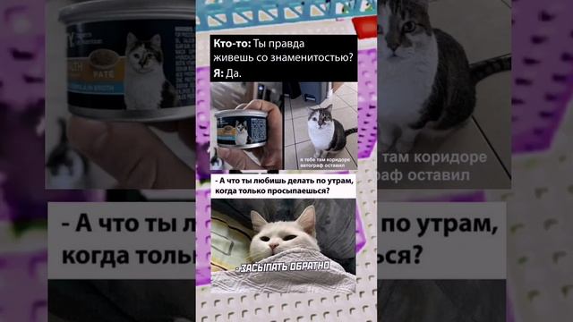 а что ты делаешь когда просыпаешься?? #мемы #рек #интересное #мемщик смотреть онлайн