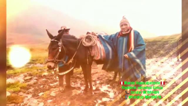 Maestro Huancabambino🇵🇪 SAHUANGA GARCIA смотреть онлайн