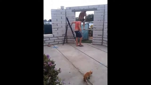 СТРОИМ БРУДЕРНУЮ, ДОСТРАИВАЕМ ДОМ, ПЕРЕДЕЛЫВАЕМ КРЫШУ | МОЙ УЮТНЫЙ ДОМ смотреть онлайн