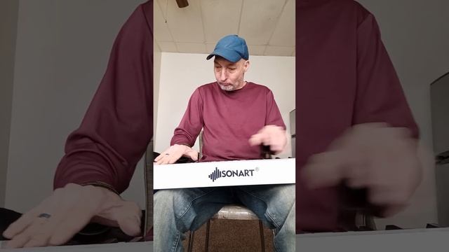 The Nopales Rag - Piano solo and composition Masterpiece by Christopher Hauser смотреть онлайн