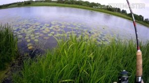 Ловля КРАСНОПЕРКИ на ПОПЛА ПОППЕР. Оснастка для ловли красноперки