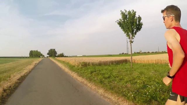 Arne TV Folge 3 neu смотреть онлайн