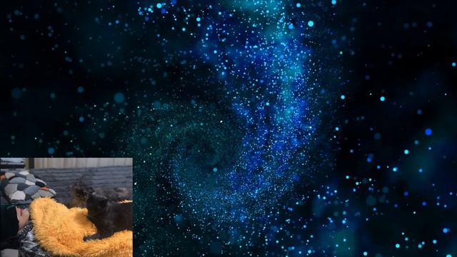 Общение с Наставником. Что такое душа? Родовая карма. 7 воплощений на Земле. смотреть онлайн