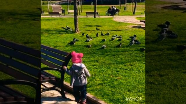 Лягушка путешественница смотреть онлайн
