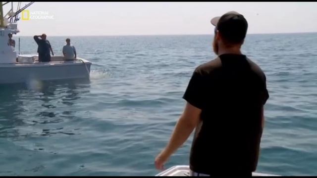 1 смотреть онлайн