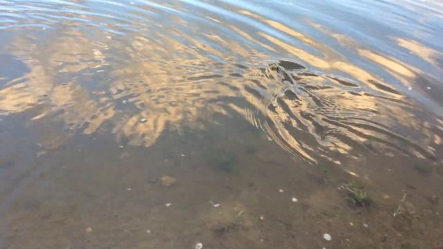 Щучка на резину "Ларва". смотреть онлайн