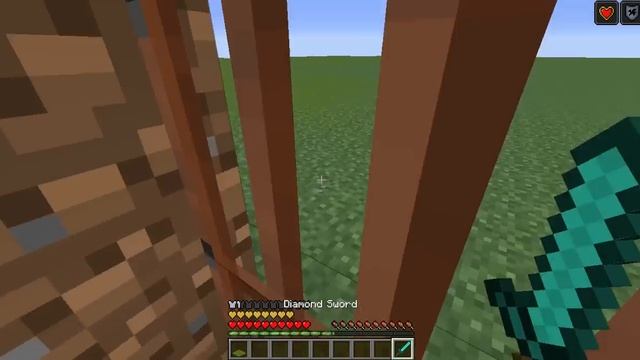 MILLIONER VA GADOY KULGULI VIDEO MINECRAFTDA