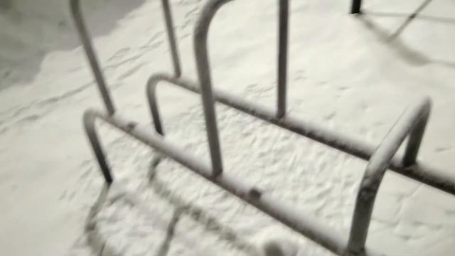 Птицы тоже любят спорт.))) смотреть онлайн