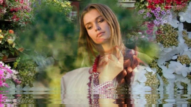 При долині кущ калини – украінська народна пісня смотреть онлайн