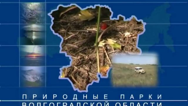 Мирознай - Природа Волгоградской области смотреть онлайн