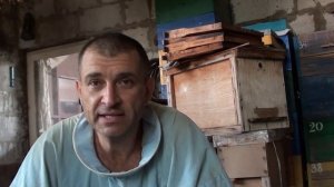 Пчеловодство. Ограничение засева матки осенью