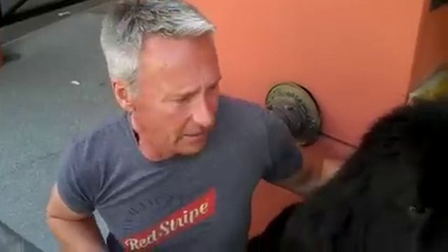 Crystal Cam VLog#3: Check out this cute & HUGE dog I met today on my way to get a new phone. смотреть онлайн