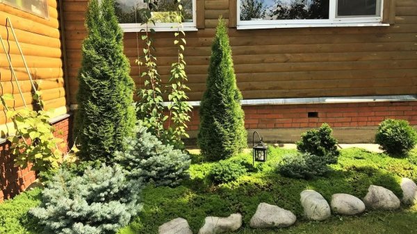 ?Удивительно красивые сады для вашего вдохновения/ Original examples of beautiful gardens/ A - Vid