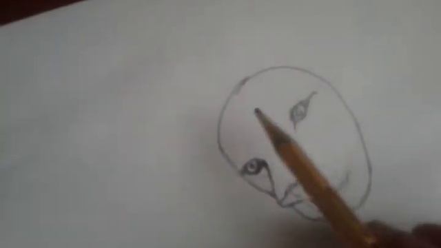 Учимся рисовать белого льва смотреть онлайн