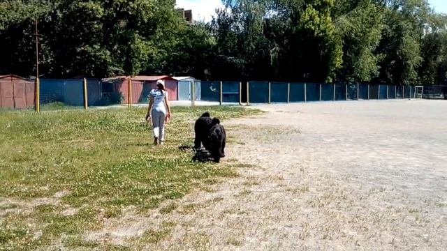 Гарри Поттер из Весенней Сказки - Гуляем-2 смотреть онлайн