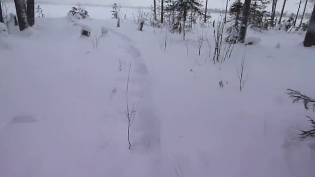P1000198 смотреть онлайн
