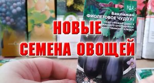 23 января. ВОТ ЭТО Я НАБРАЛА СЕМЯН! ОВОЩИ.mp4