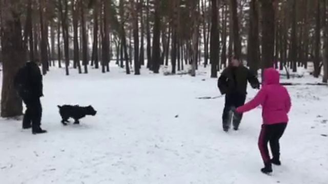 ЧУЖОЙ! #КАНЕКОРСО #БОРМАН смотреть онлайн