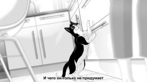 Felix® Суп – вкуснятина на первое!