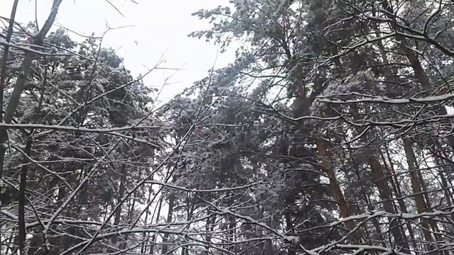 The "Snowman" Winter Field Game 2017 смотреть онлайн