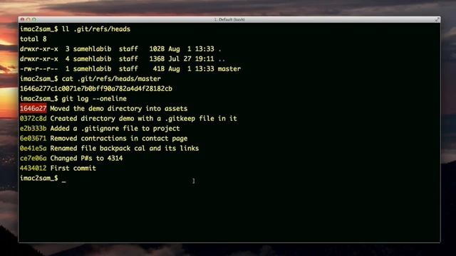Create a New Branch and See Which Branches Exist смотреть онлайн