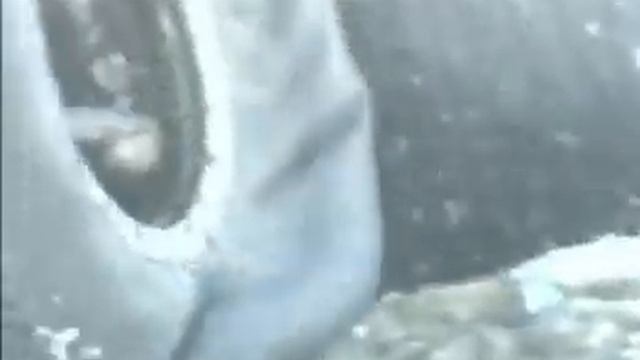 Вездеход СТАРАТЕЛЬ зима 2005г смотреть онлайн