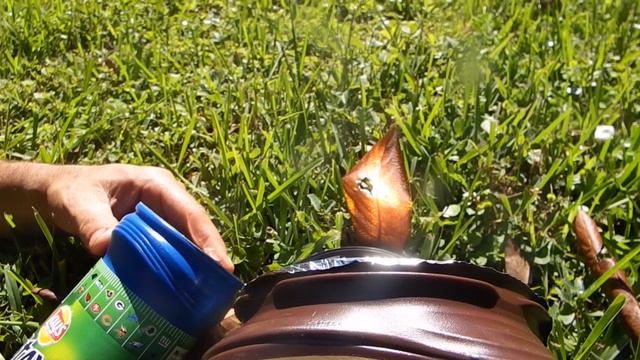 Start a Fire with Coffee and Potato Chip containers Solar vacuum reflector смотреть онлайн