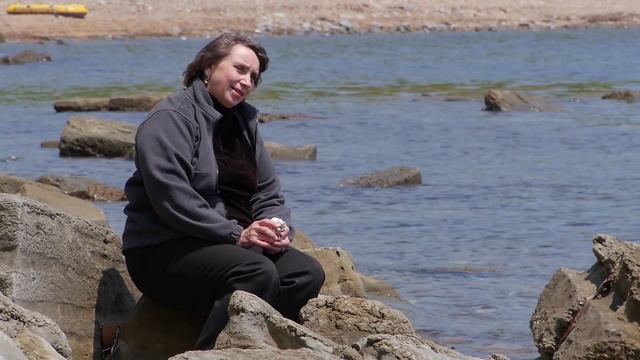 Бухта Витязь: подводный дозор (Tрейлер к фильму) смотреть онлайн