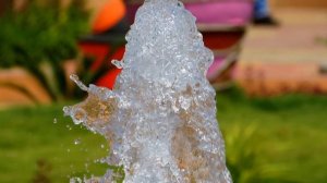 Photography with Canon PowerShot SX40 HS  World Photography Day