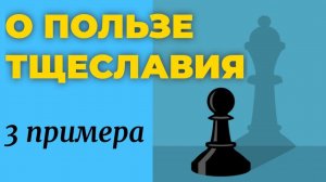 Польза тщеславия 3 примера Максим Каскун