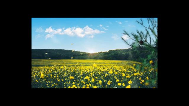 Livro de Macabeus capitulo 1, série deuterocanônicos #apócrifos, #bíblia, #sagradas escrituras смотреть онлайн