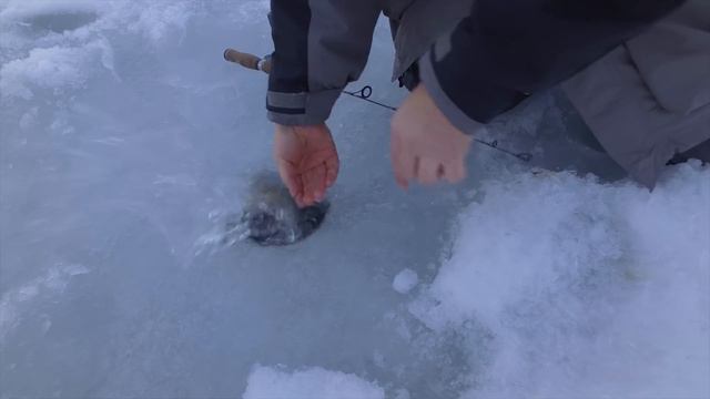 World Class Ice Fishing in the MOUNTAINS смотреть онлайн