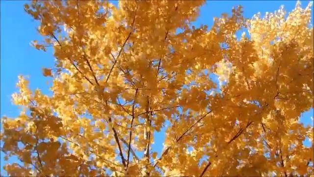 Осенняя песня смотреть онлайн