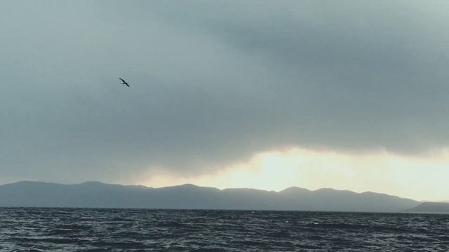 Джамас, Женя Тихий, Джонс - Рождённые на Дальнем Востоке (РНДВ) (при участии: Алексей Захаричев)