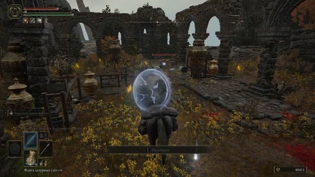 ДРАКОН СБЕЖАЛ ОТ МЕНЯ! ELDEN RING #51 смотреть онлайн
