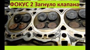 Фокус 2  1.6 Как загибает клапана! "Сидим в гараже" Миша Яковлев"