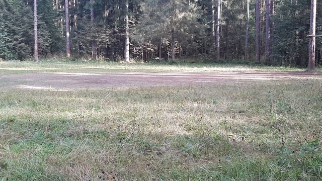 Лес 2 тайм конец новое смотреть онлайн