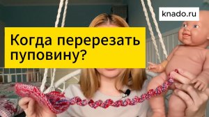 Когда перерезать пуповину и как понять, что она отпульсировала?