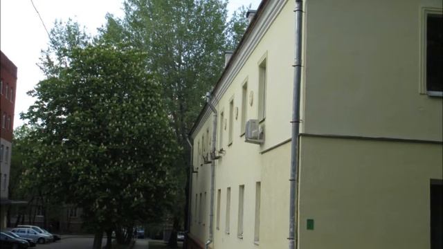 Цветущие деревья в Минске смотреть онлайн