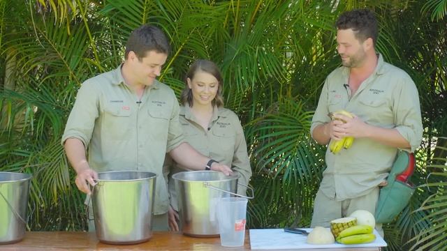 A special treat for our gentle giants | Australia Zoo Life смотреть онлайн