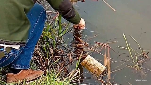 Судачок на мотыля Рыбалка на поплавок под мостом Дружба смотреть онлайн