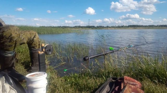 Клёв карася на резинку! смотреть онлайн