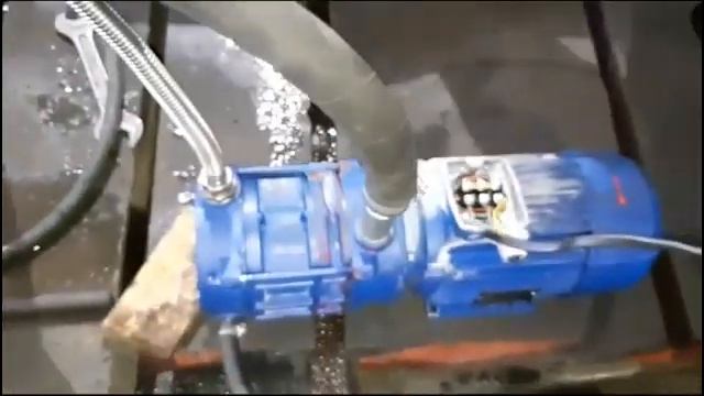 speck vz 50 55 Белгород смотреть онлайн