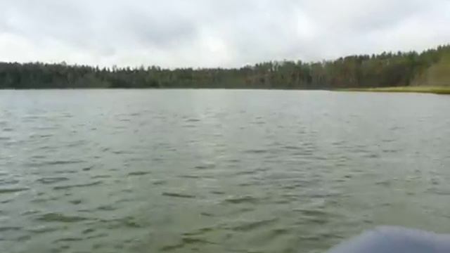 Алёховщина-суперотдых. смотреть онлайн