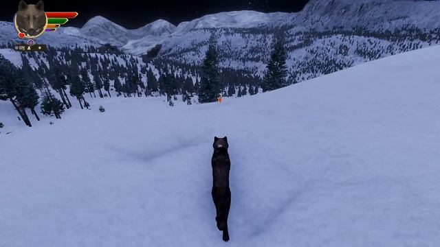 Only a Distant ECHO of LUCK for Our Wolf Pack?! ?? Wolf Quest: LOST ECHOES • #31 смотреть онлайн