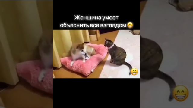 взгляд.mp4 смотреть онлайн