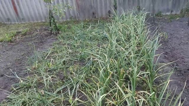 Подстричься нельзя оставить длину!!!P.S.запятую поставьте сами ? смотреть онлайн