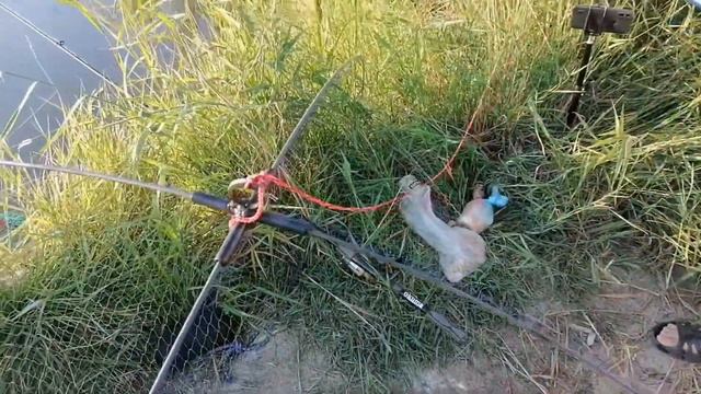 Сазаны на паук ловились как на кастинговую сеть смотреть онлайн