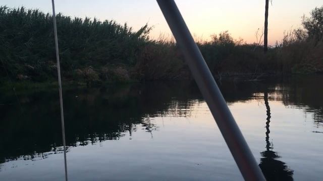 Озеро КИНЕРЕТ/15/8/2020 смотреть онлайн