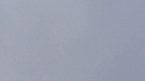 #Голуби #Астрахани.   Кормление и гон голубей